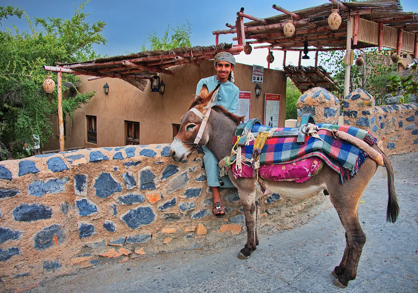 Omani guide with a donkey dressed in colorful blankets, standing near a stone wall in a traditional village setting.