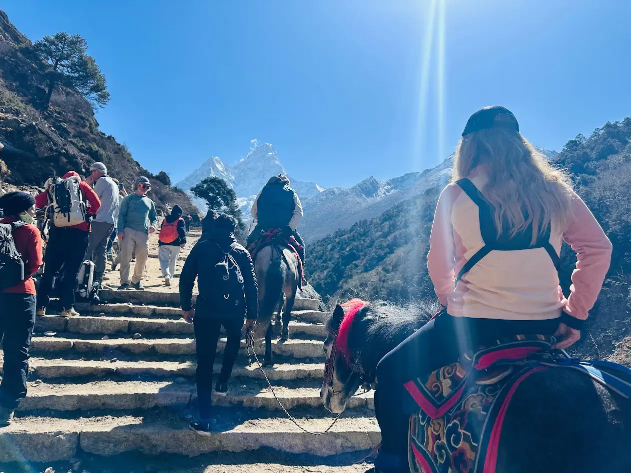 Trekkers and horses ascending stone stairs on a sun-drenched Himalayan trail, showing the diverse ways to manage the Everest Base Camp trek fitness level while approaching the high-altitude peaks.