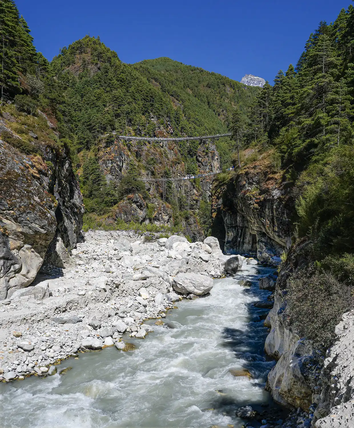 A rocky Himalayan river flows through a steep, forested canyon, with a high suspension bridge visible in the distance during a Luxury Everest Base Camp & Gokyo Lakes Trek.