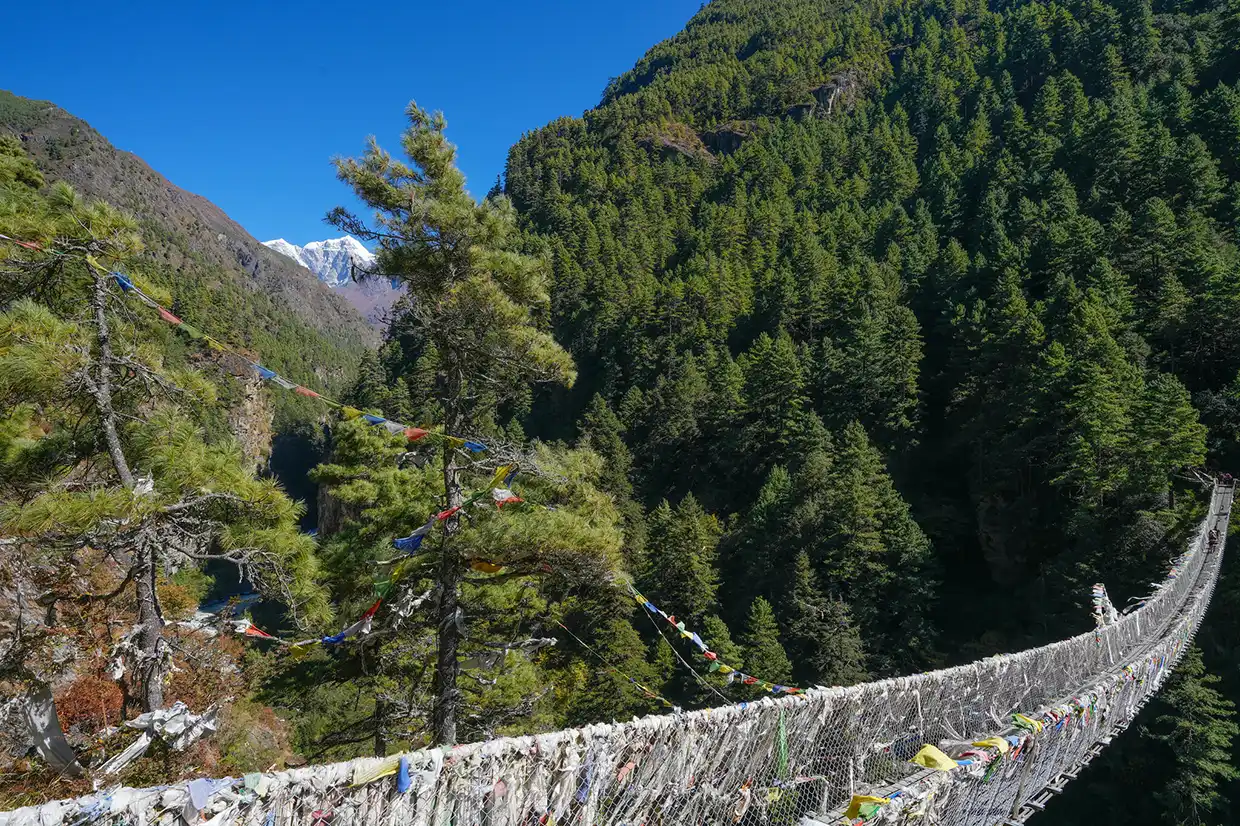 A long suspension bridge decorated with colorful prayer flags spans a deep Himalayan valley surrounded by dense evergreen forests during a Luxury Everest Base Camp & Gokyo Lakes Trek.