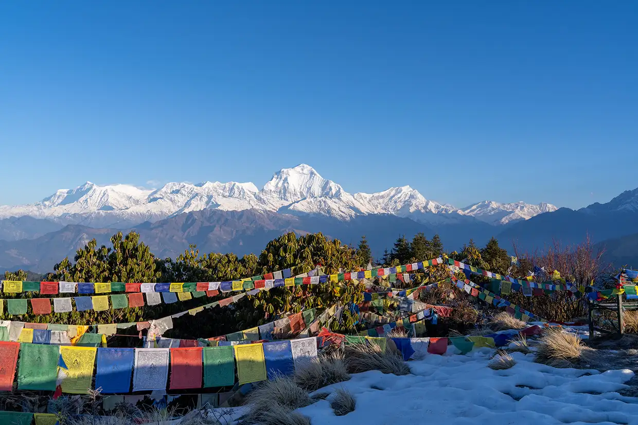 在尼泊尔的豪华布恩山徒步旅行中，五彩缤纷的佛教祈祷旗在前景中飘扬，远处是白雪皑皑的喜马拉雅山峰和湛蓝的天空。