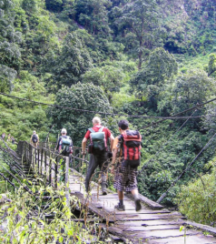 Trekkers crossing a suspension bridge surrounded by dense forest during the Manaslu Circuit Trek.