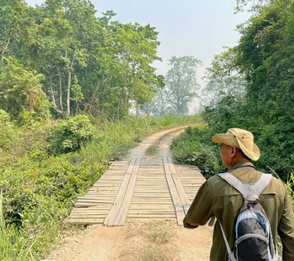 A traveler with a backpack looks toward a jungle trail across a wooden bridge. Enjoy wildlife sightings on a Luxury Kathmandu Pokhara Chitwan Tour.