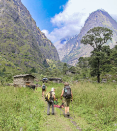 Trekkers walking through a green valley during the Manaslu Circuit Trek in Nepal.