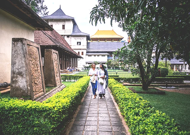 Best Time to Visit Sri Lanka
