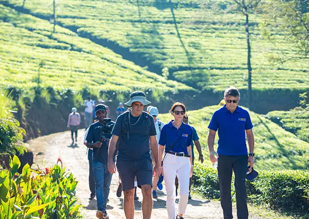 Pekoe Trail features a group of hikers walking along a dirt path through lush green tea plantations in Sri Lanka.