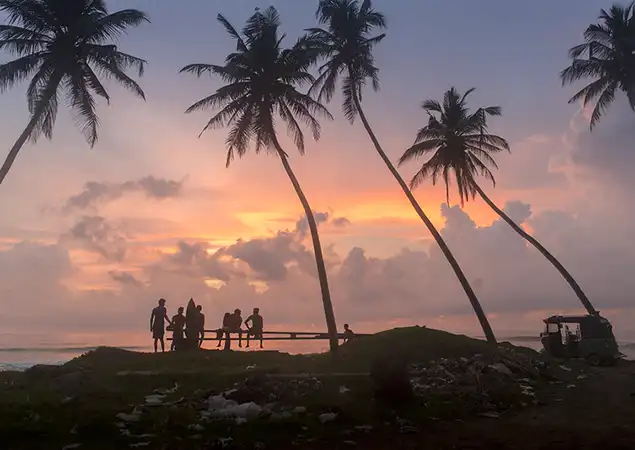 Silhouettes of surfers relaxing on a bench under palm trees at sunset on a Sri Lankan beach, as seen in South Coast Surfing - The last wave - Things to do in Sri Lanka