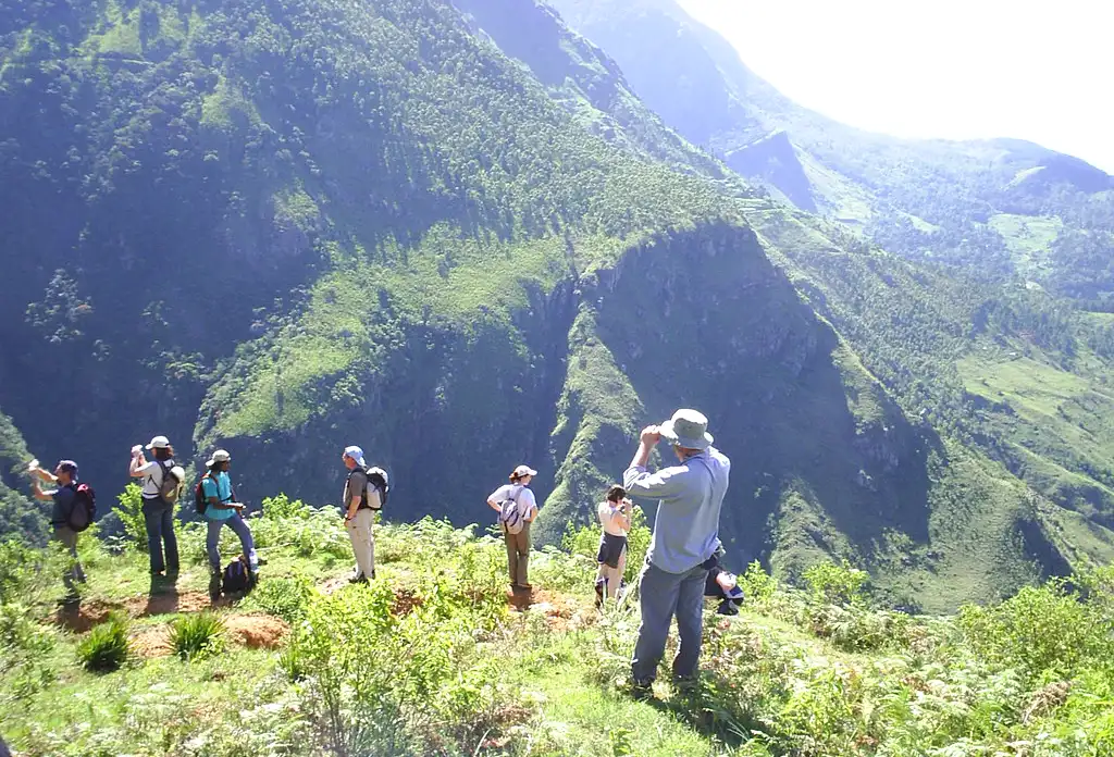 Best Things to Do in Sri Lanka: Hiking the Hill Country
