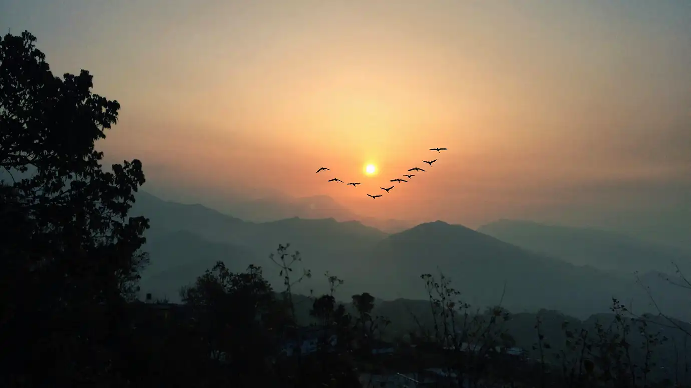 A V-formation of birds flying across a warm orange gradient sky near the setting sun, with dark tree silhouettes in the foreground and layered mountain ridges fading into haze in the background.