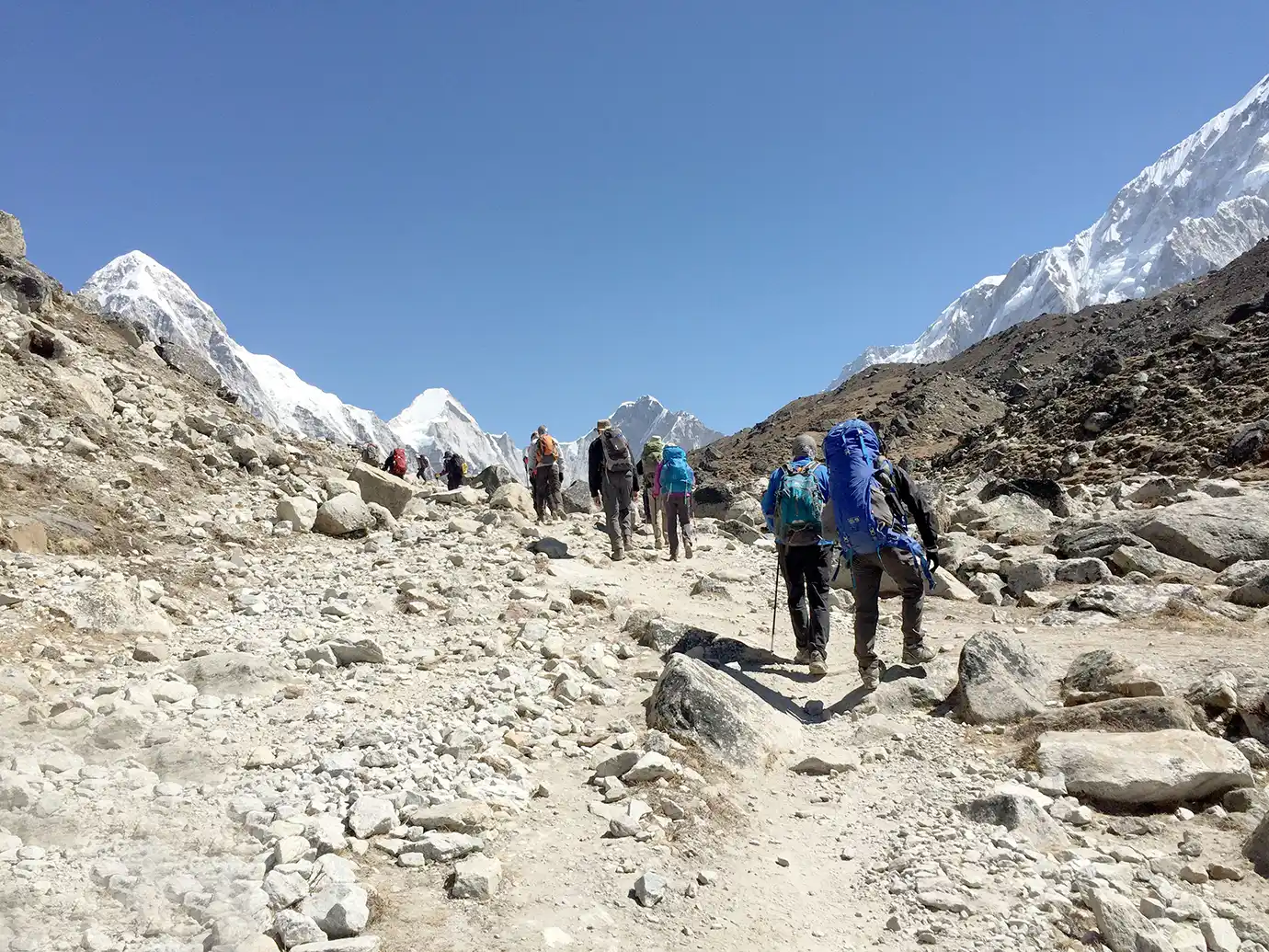 A group of hikers with backpacks trekking up a rugged, rocky trail under a clear blue sky, surrounded by snowy Himalayan peaks.