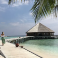 Bird's-eye view of a seaplane and boat docked at a wooden island jetty in clear turquoise waters featured in a Maldives Travel Guide for First-Timers.