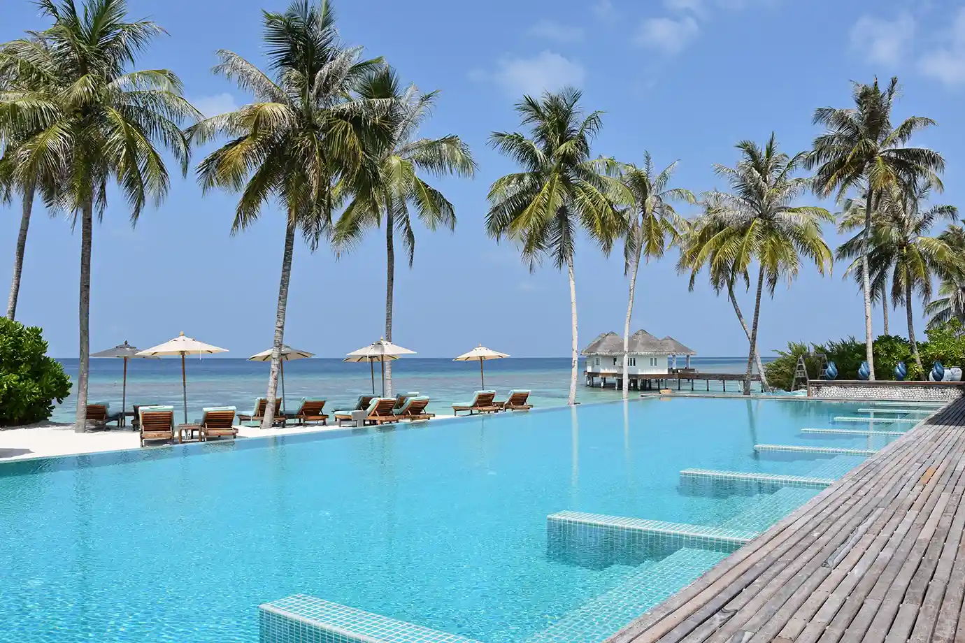A beachfront infinity pool lined with palm trees and lounge chairs featured in an Oman and Maldives Travel Guide.