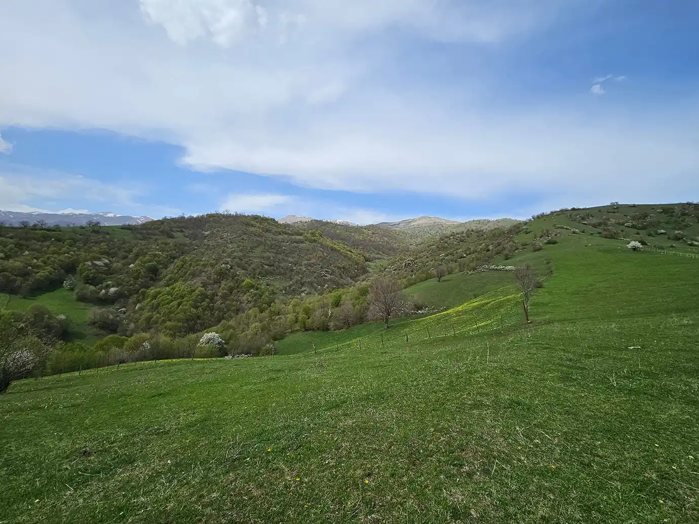 Vast lush green pastures and forested hills under a blue sky in Dilijan National Park featured in a travel guide on The Ultimate 7-Day Armenia Itinerary.