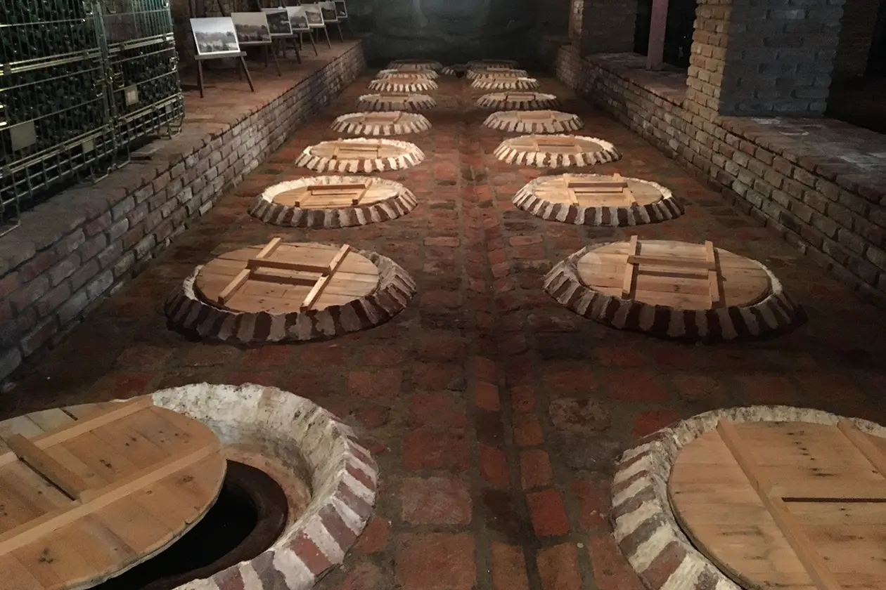 Rows of traditional clay Qvevri wine vessels buried beneath the brick floor of a authentic Georgian marani cellar, showcasing top cultural Things to Do in Tbilisi.