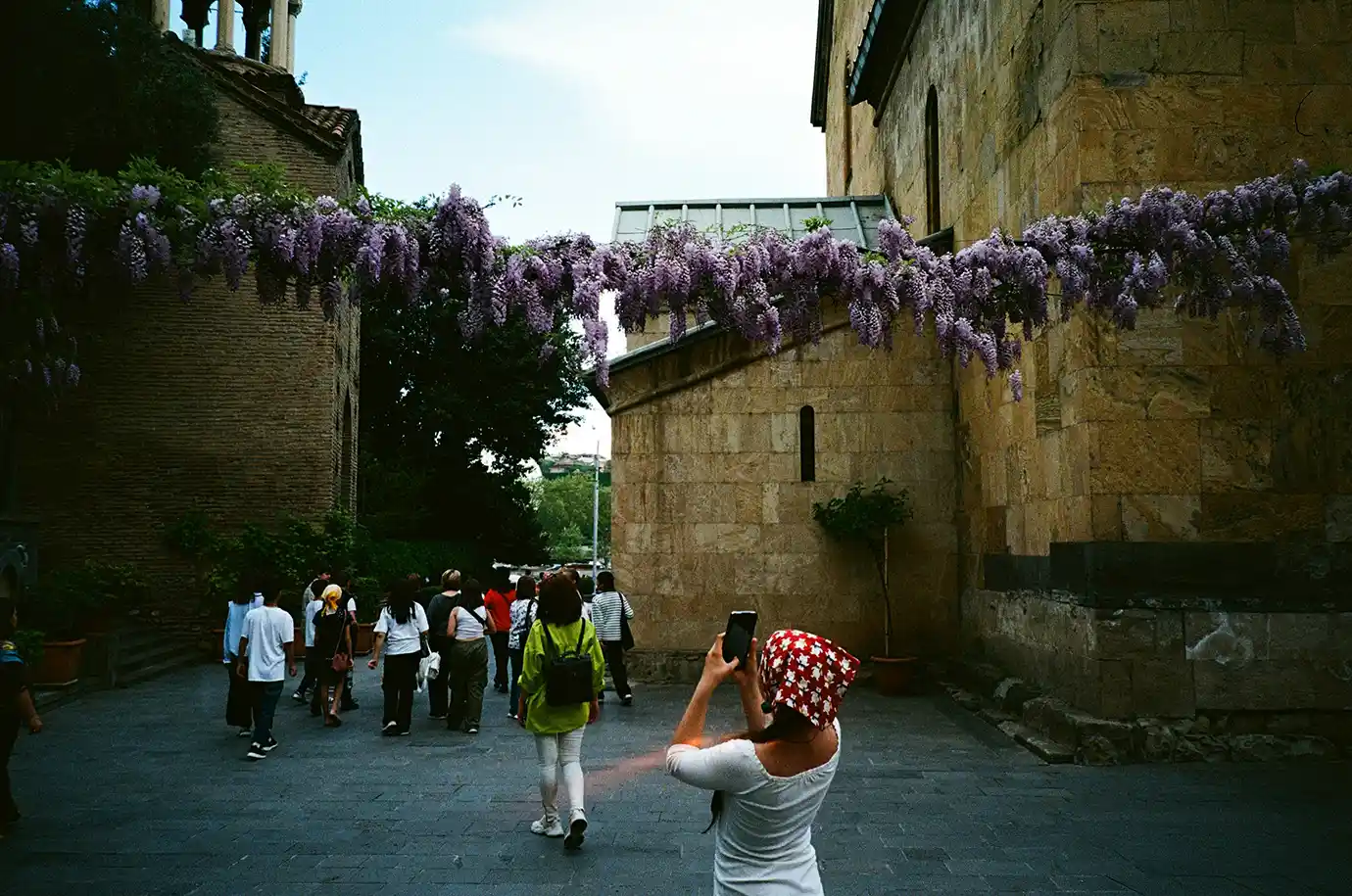 Tourists walking beneath cascading purple wisteria flowers outside a medieval stone church in Old Tbilisi, illustrating spring as the Best Time to Visit Georgia.
