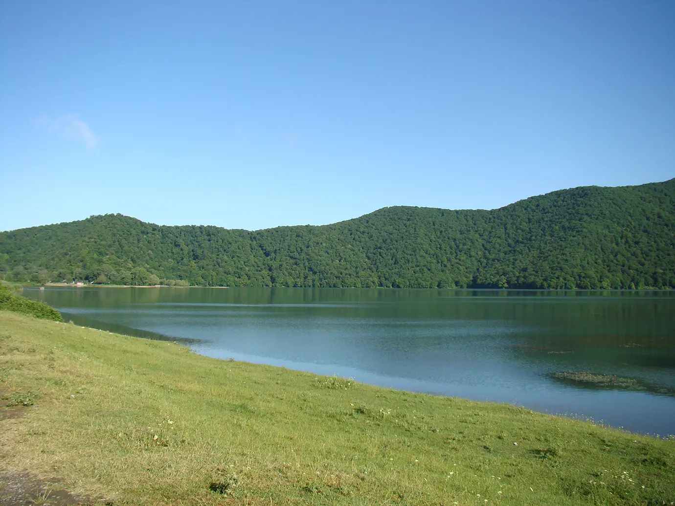 The calm surface and green grassy shoreline of Nohur Lake in Gabala set against dense forest-covered mountains featured in a travel guide on When Is the Best Time to Visit Azerbaijan.
