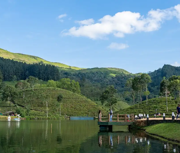 A calm green lake reflecting bright blue sky and fluffy white clouds, surrounded by rolling tea plantations, pine forests, and a lakeside walking path with a wooden pier in Matale, Sri Lanka.