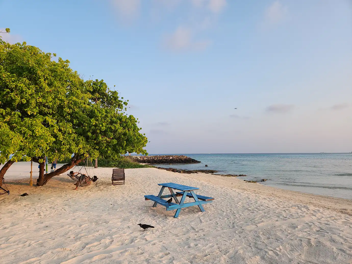 A blue wooden picnic table and hammock under leafy trees on a white sand beach featured in a Maldives Travel Guide for First-Timers.