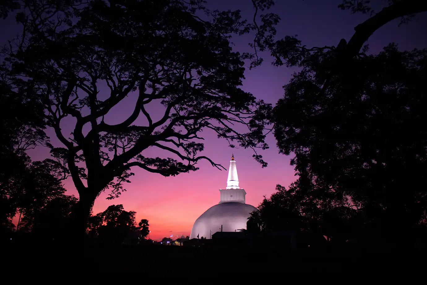A wide night photograph of large tree silhouettes framing the bright white dome and spire of the Ruwanwelisaya Stupa against a vibrant purple and orange twilight sky in Anuradhapura, Sri Lanka.