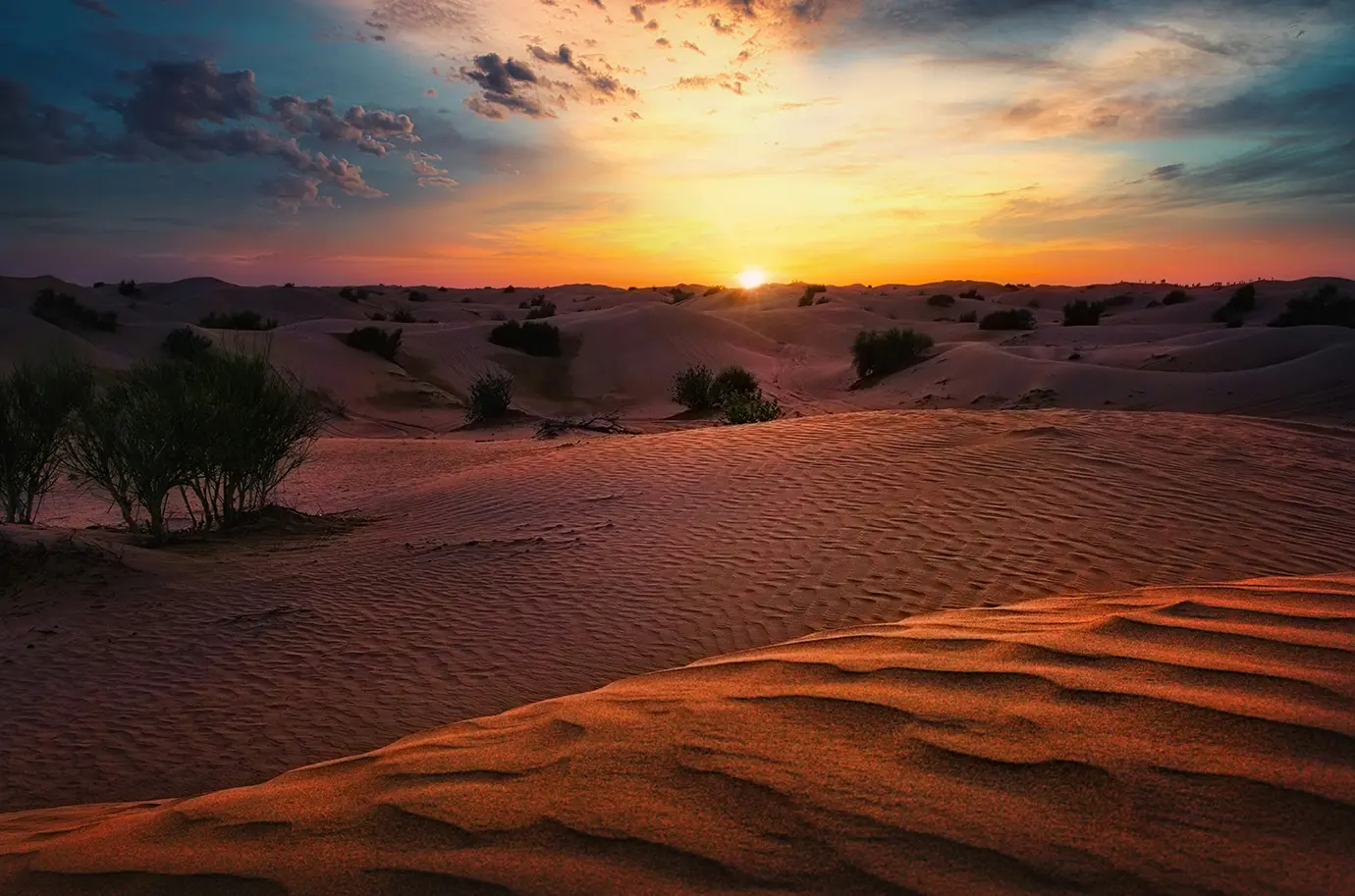The sun rising over undulating desert dunes and sparse vegetation, casting a warm glow across ripples in the sand during a Dubai Desert Safari.