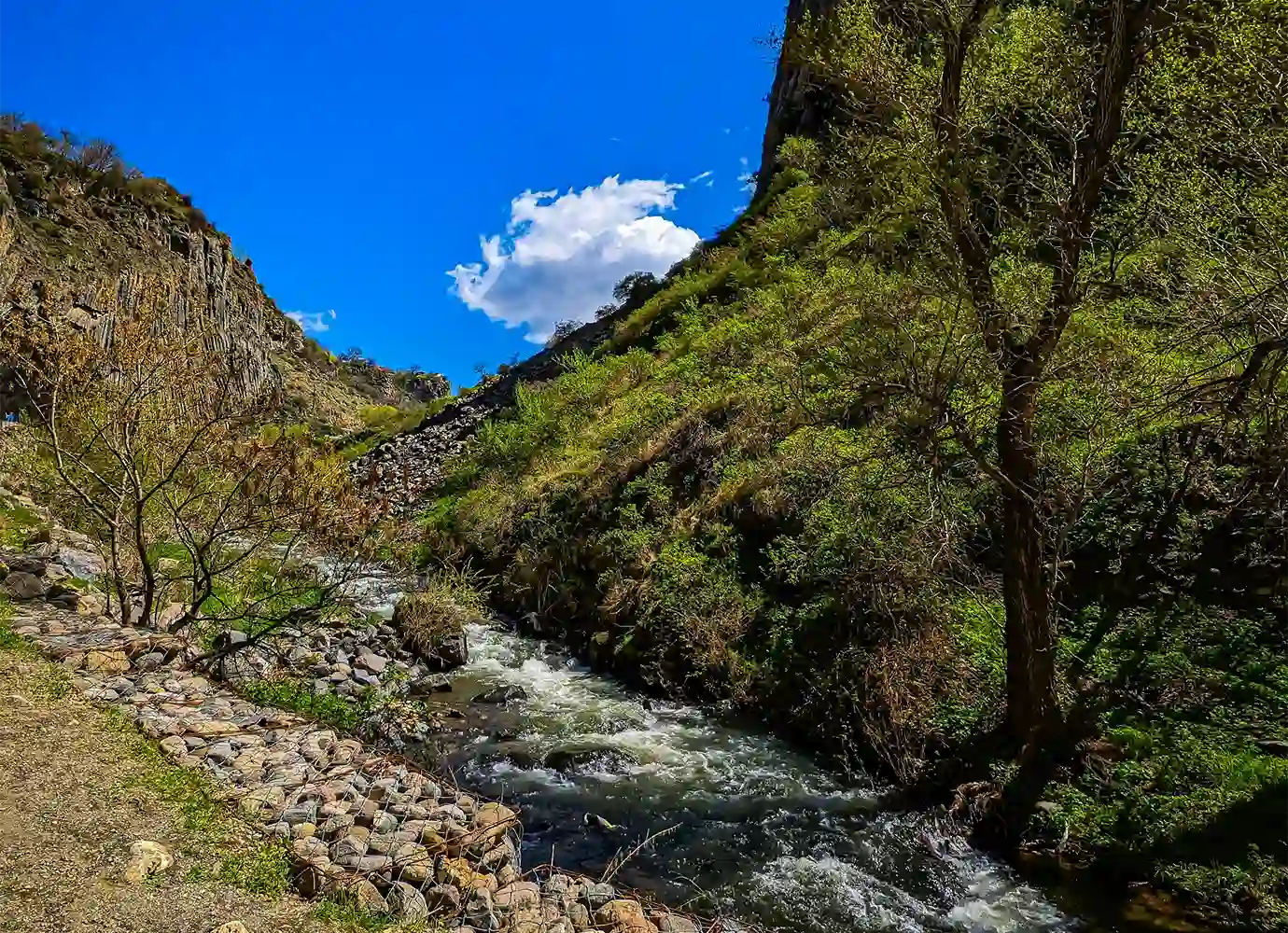 A rushing mountain river flanked by green trees and basalt cliffs in the Garni Gorge featured in a travel guide on When Is the Best Time to Visit Armenia.