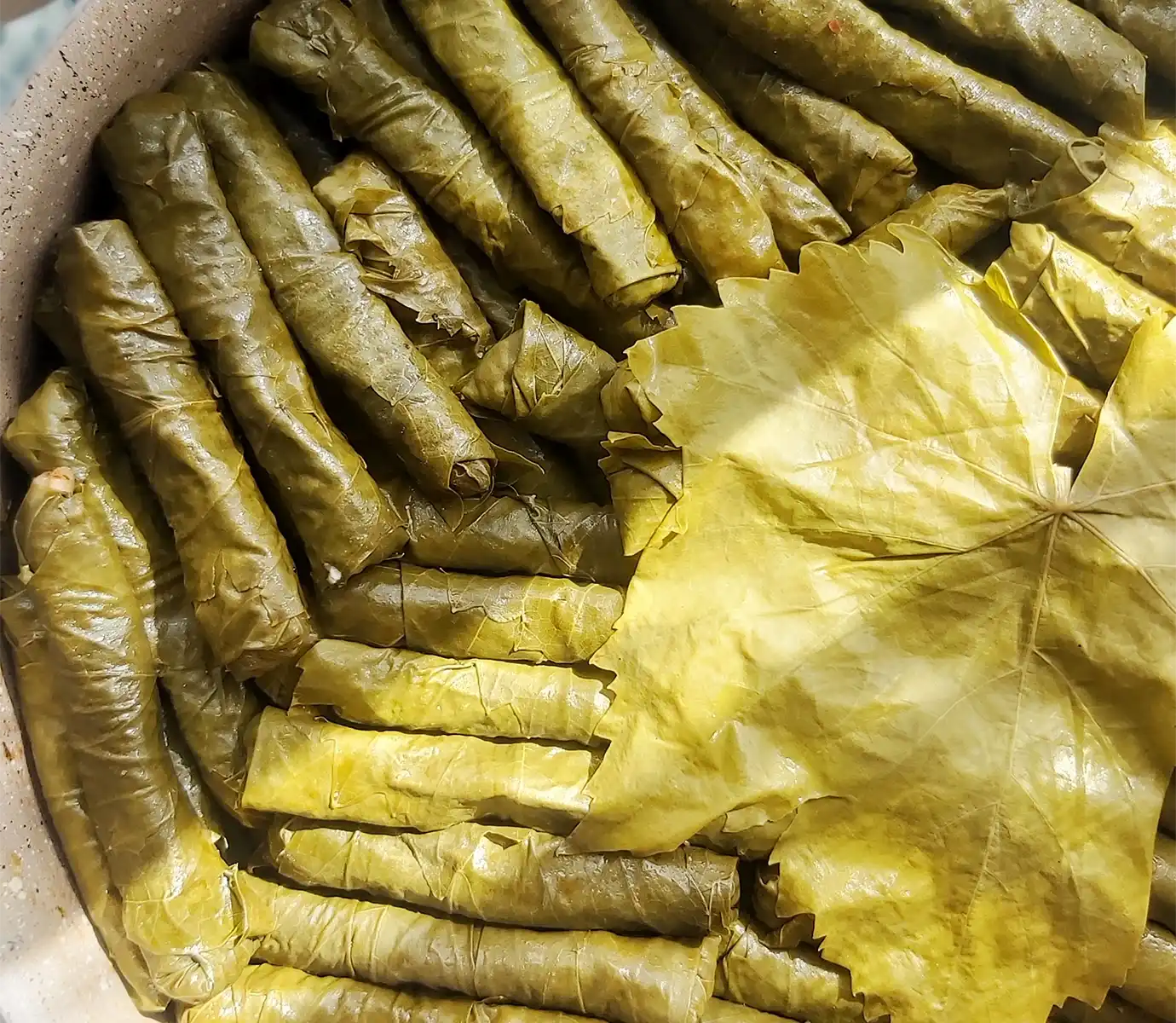 Tightly rolled grape leaves stuffed with seasoned minced meat and rice packed in a cooking pot featured in a travel guide on What to Eat in Azerbaijan.