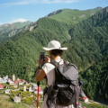 Georgia Travel Cost